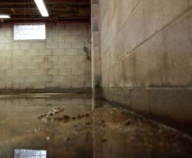 Flooded basement with standing water