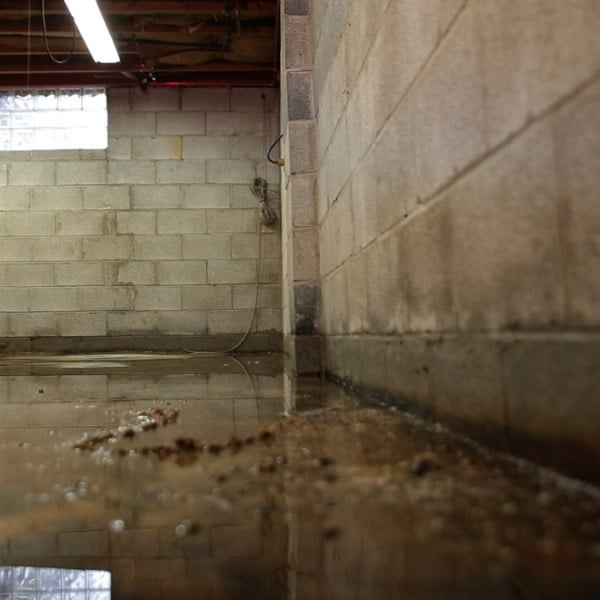 Flooded basement with standing water