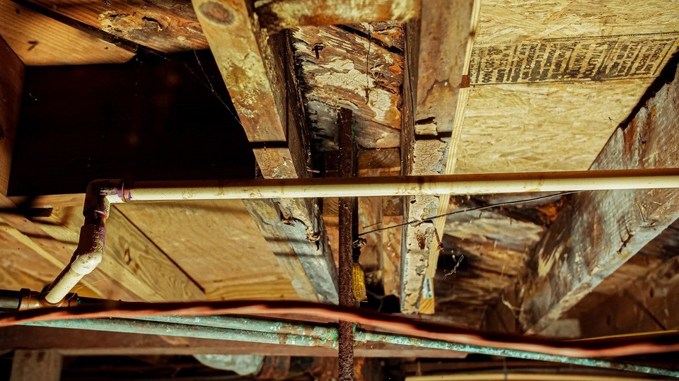 Close up of wood rot in a crawl space.