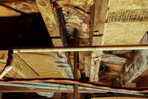 Close up of wood rot in a crawl space.