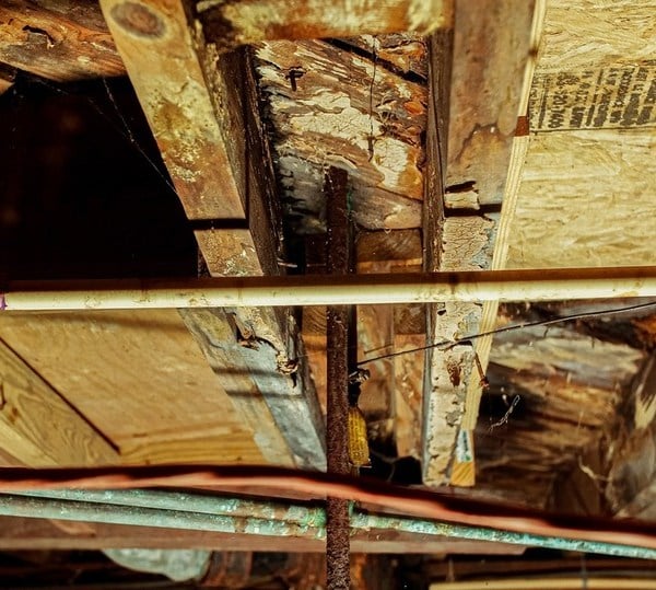 Close up of wood rot in a crawl space.