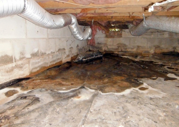 standing water in a crawl space