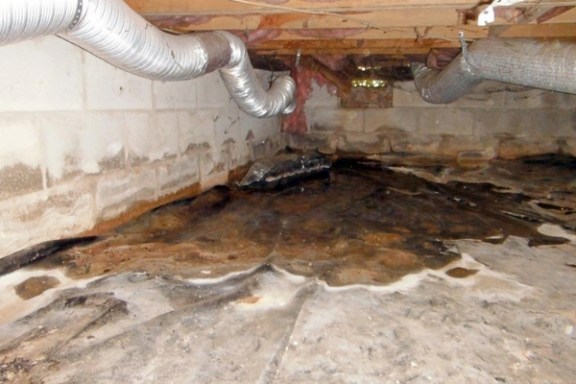 standing water in a crawl space