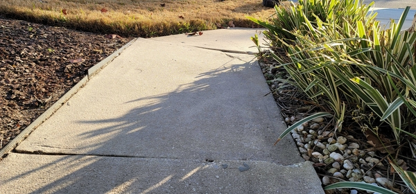 Why You Should Prioritize Fixing Cracked Sidewalks