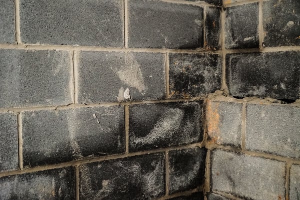 Close up of a wet basement wall.