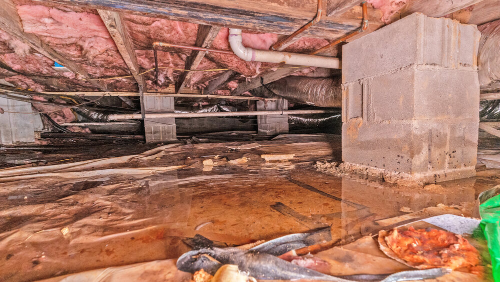 water in crawl space indicating insulation problems in a crawl space