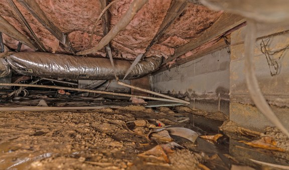 A crawl space showing severe signs of damage from humidity.