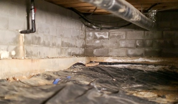 A wet and musty crawl space.