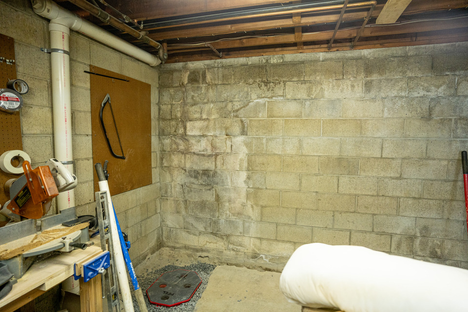 Mold on basement wall