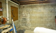 Mold on basement wall