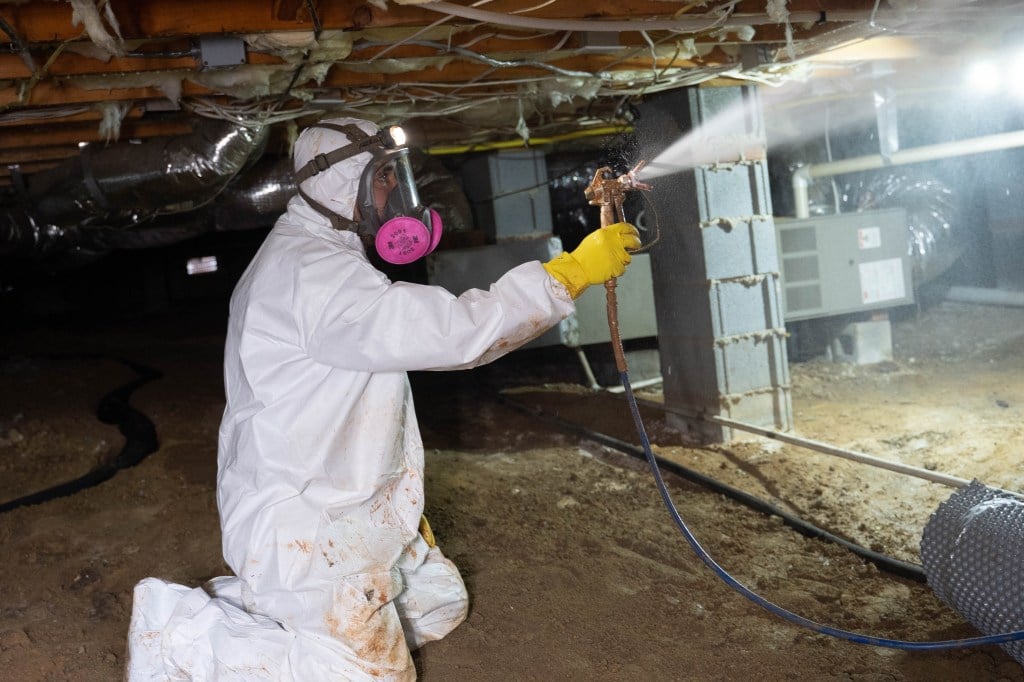 crew member spraying for mold treatment