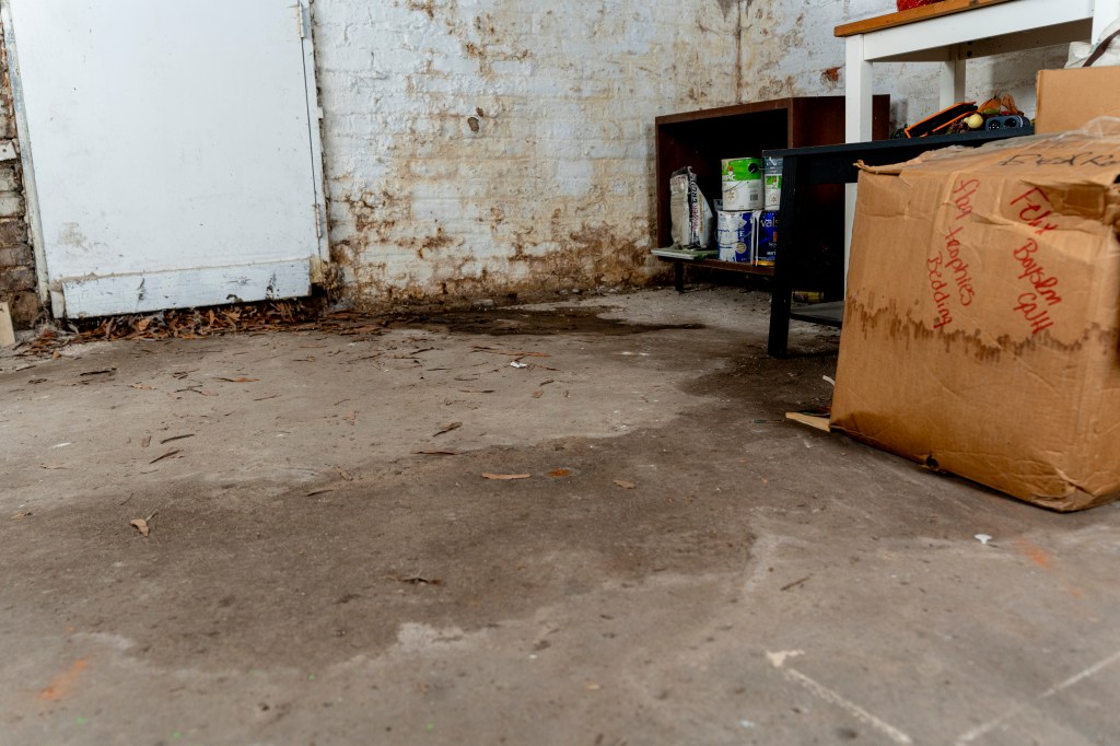 wet basement floor and damaged items