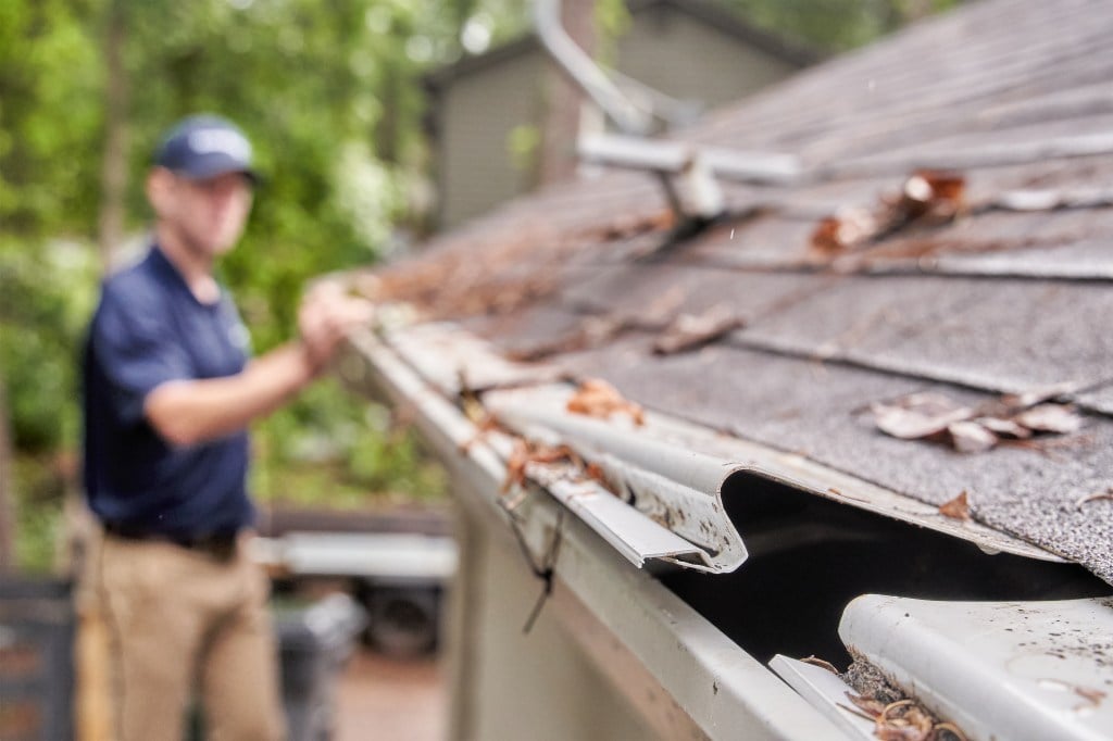 Groundworks technician inspecting clogged gutters