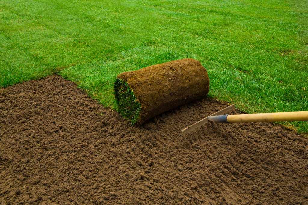 lawned garden being rolled out