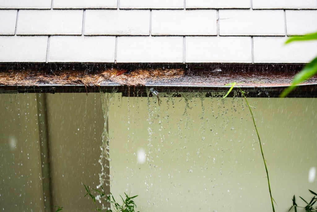 Rainwater leaking from a damaged roof with visible water droplets and greenery around.