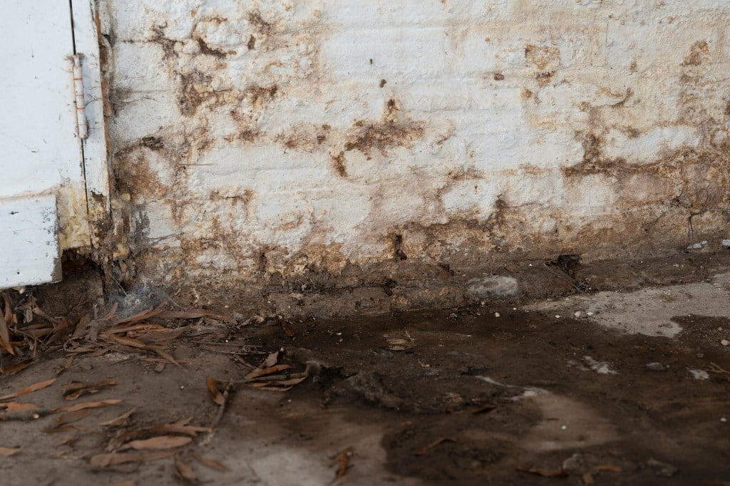 basement water damage