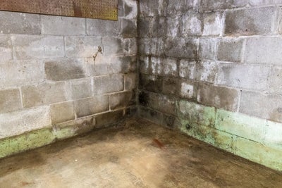 A corner of a basement where efflorescence is growing up and on the concrete of the basement. 